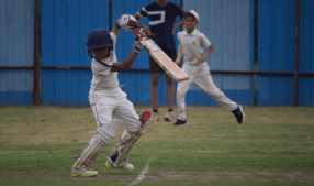 cricket